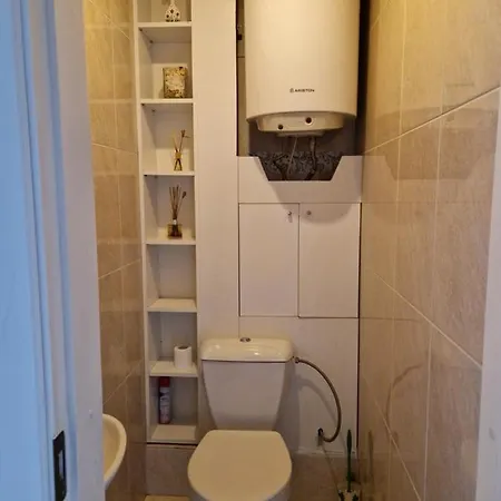 Zaliakalnis Apartment *