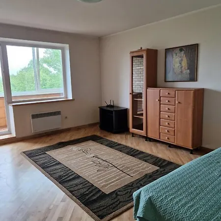 Zaliakalnis Apartment *